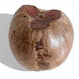 Wabi Sabi Organic Modern Coco de Mer Centerpiece, Hand-Carved, 19th C.