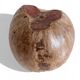 Wabi Sabi Organic Modern Coco de Mer Centerpiece, Hand-Carved, 19th C.