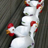 Chicken cockroaches