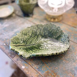 Empty cabbage leaf pocket