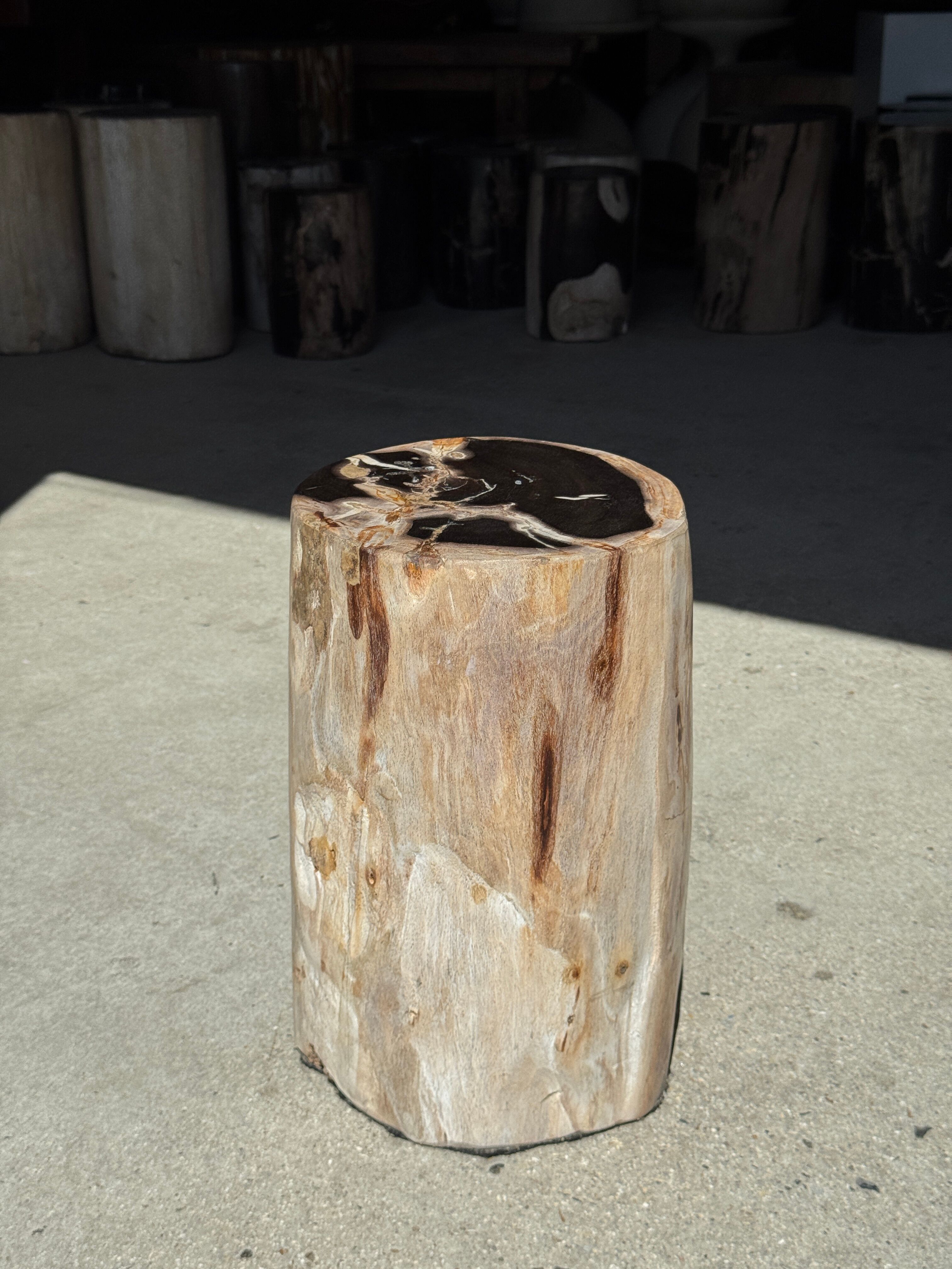 Petrified wood side table, black heart, beige bark, H35 D22 - 3330