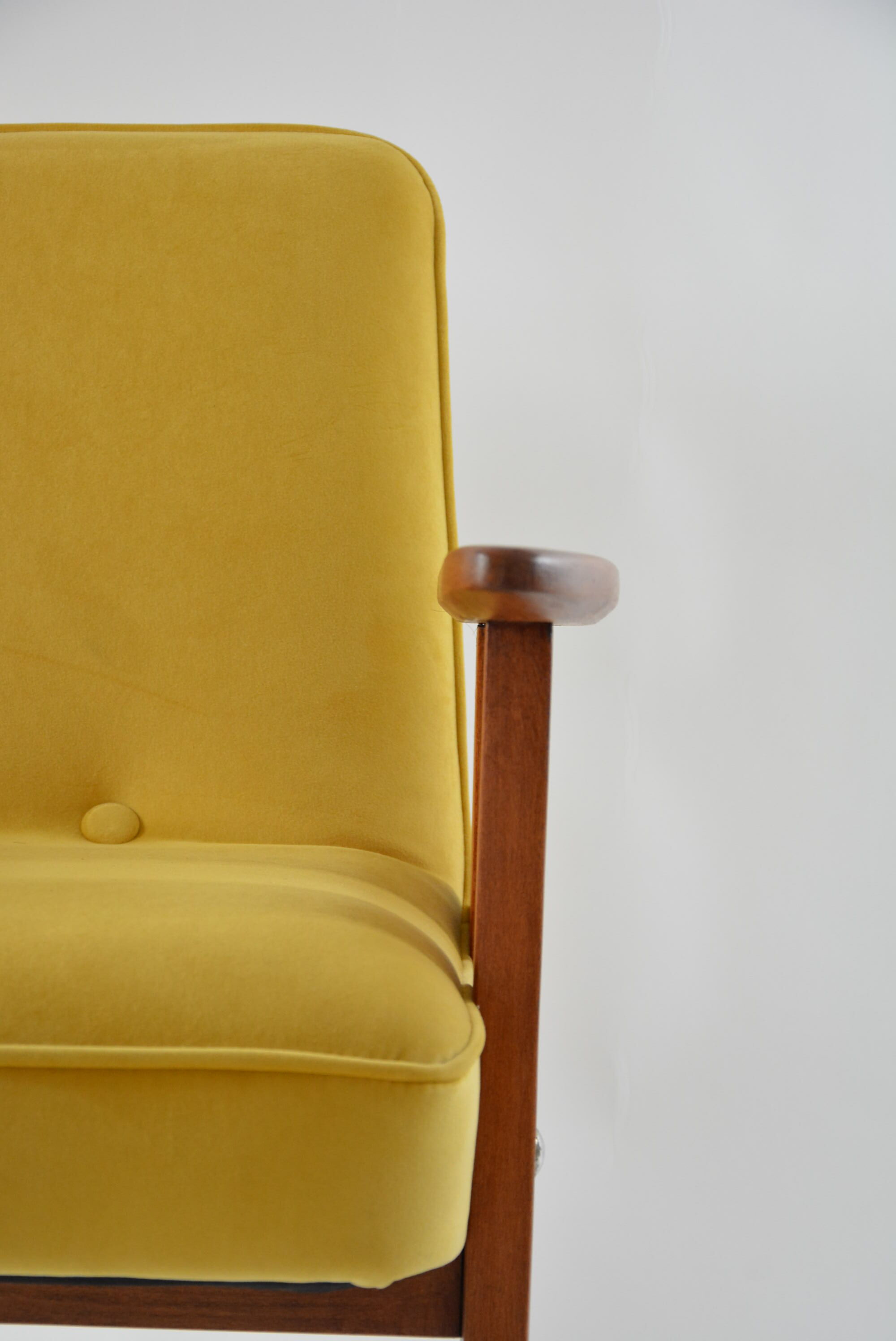 Yellow J.Chierowski and Birds 366 Chair