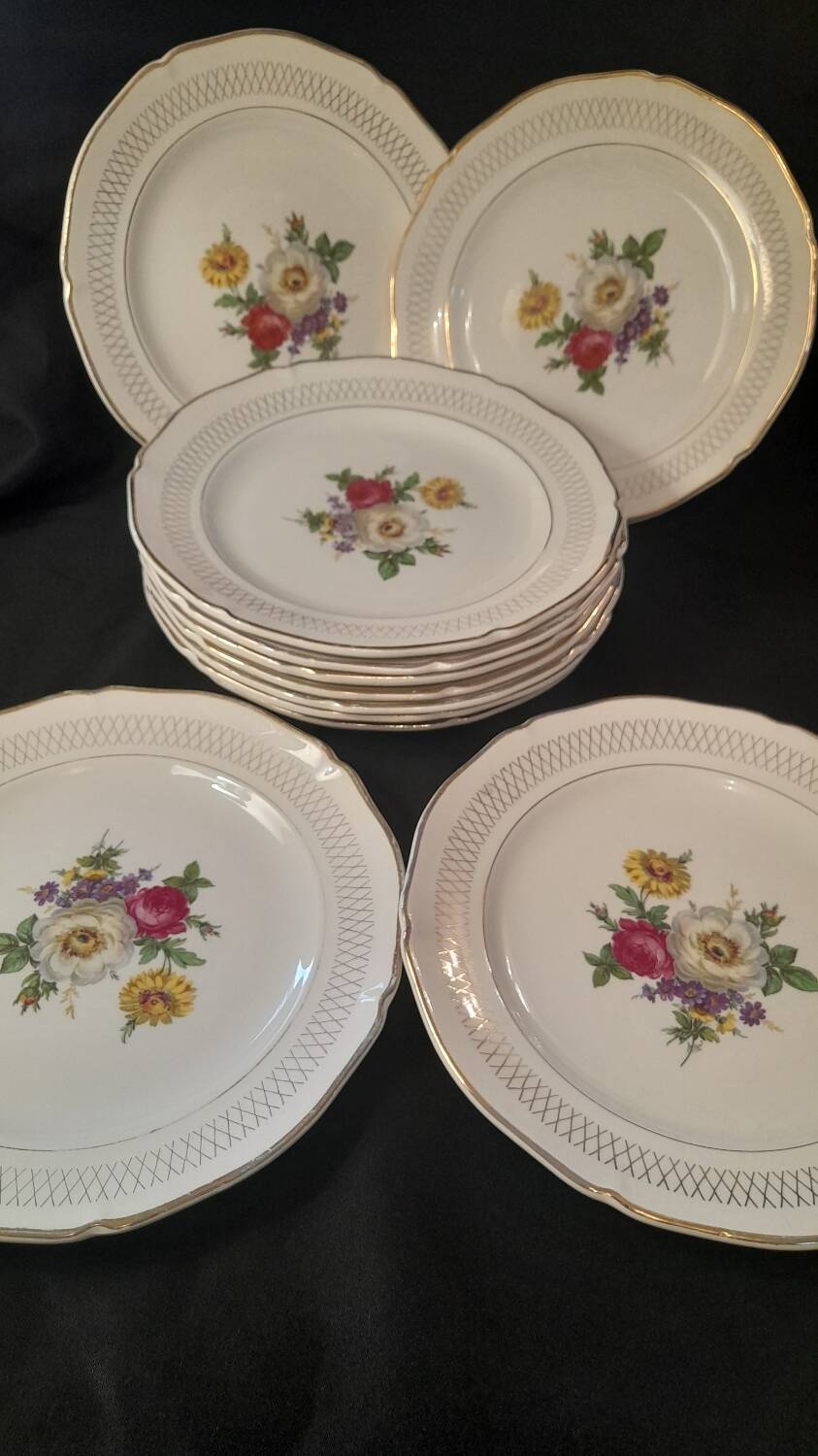 Set of 11 Ceranor St Amand Semi Vitrified Sapho plates