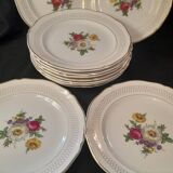 Set of 11 Ceranor St Amand Semi Vitrified Sapho plates