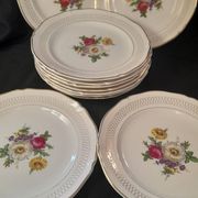 Set of 11 Ceranor St Amand Semi Vitrified Sapho plates