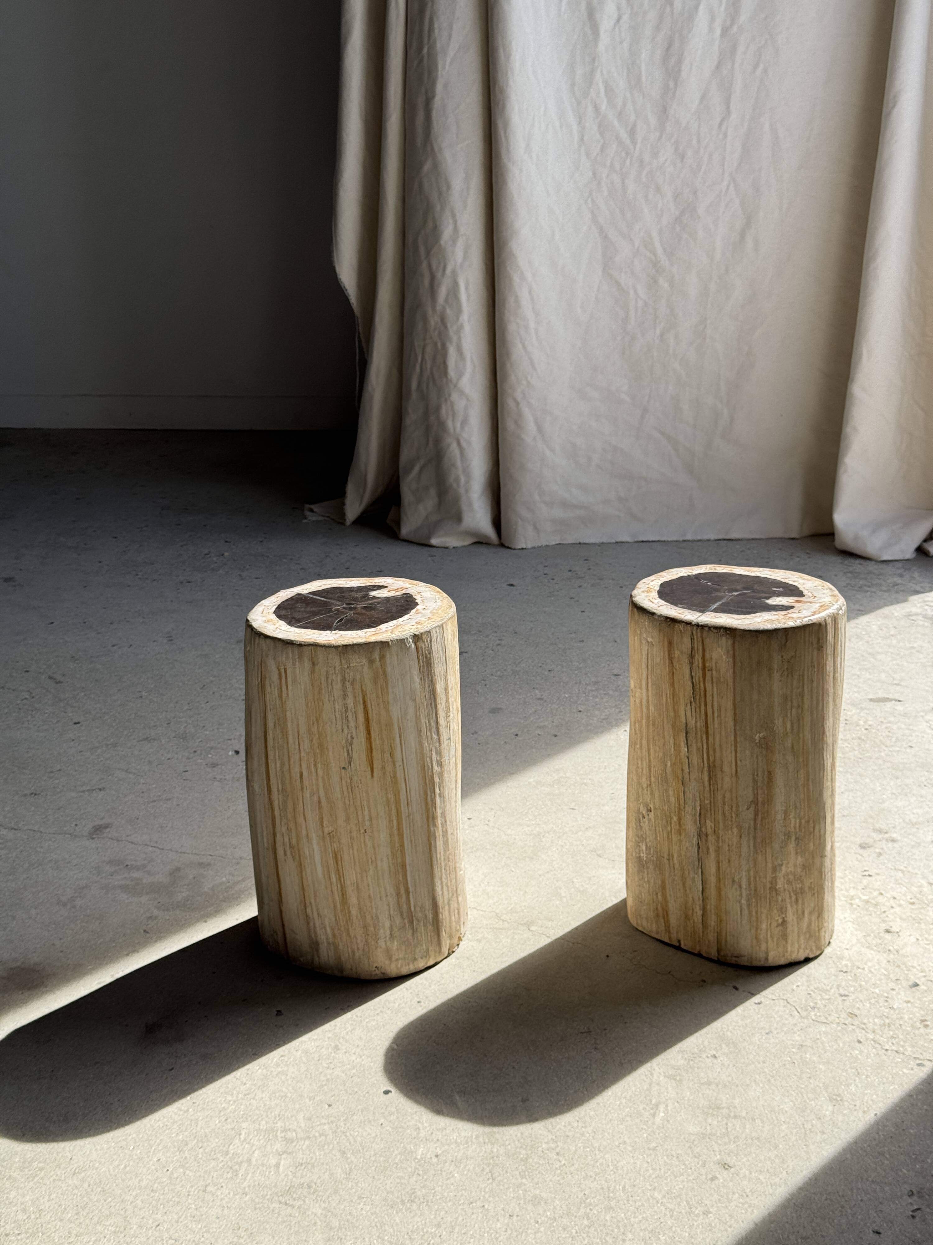 Table d'appoint en bois pétrifié, écorce blanche