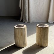 Petrified wood side table, white bark