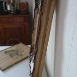 Old frame molding plant patterns