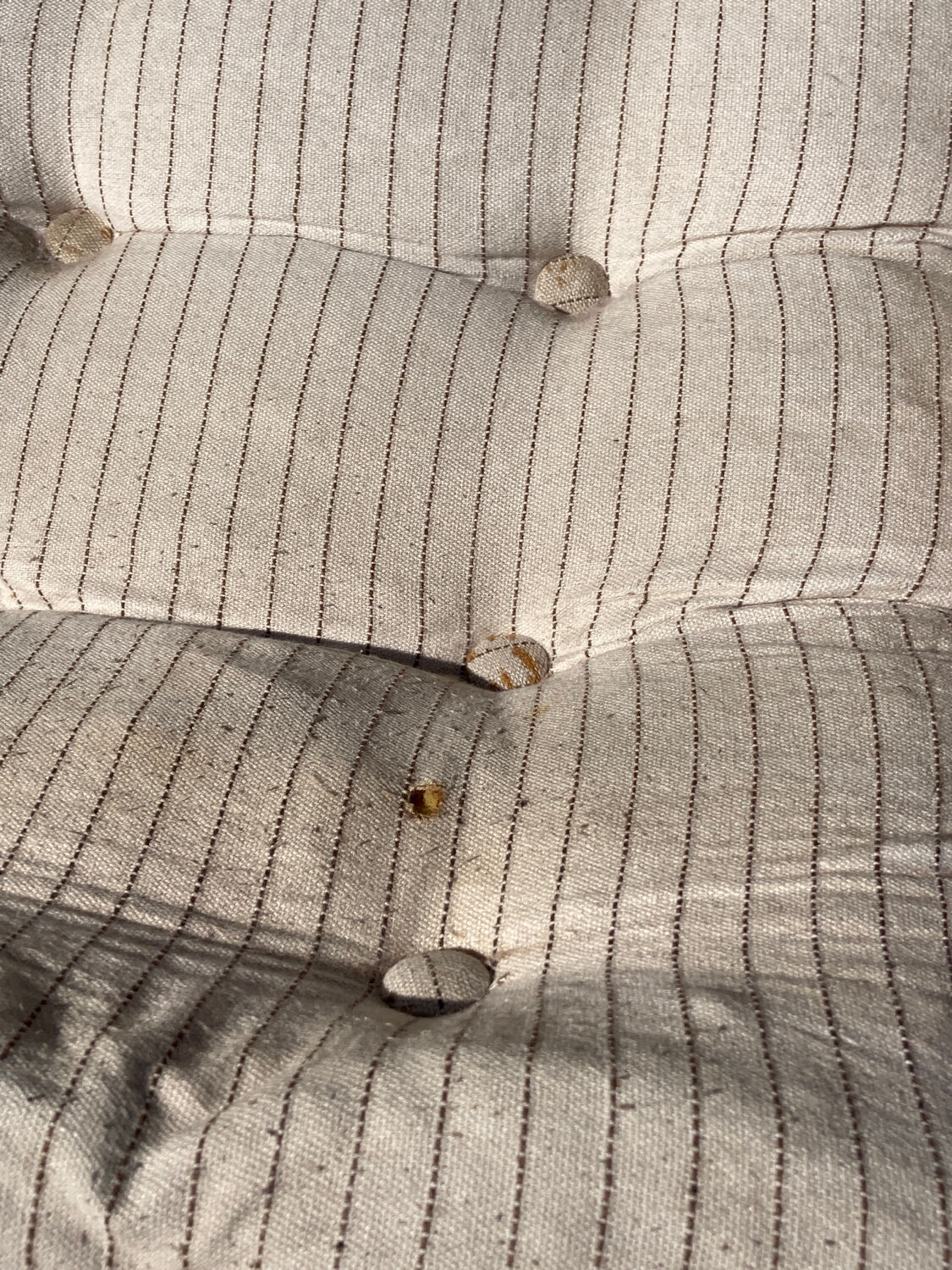 4 garden armchairs 1970 in pine and beige fabric