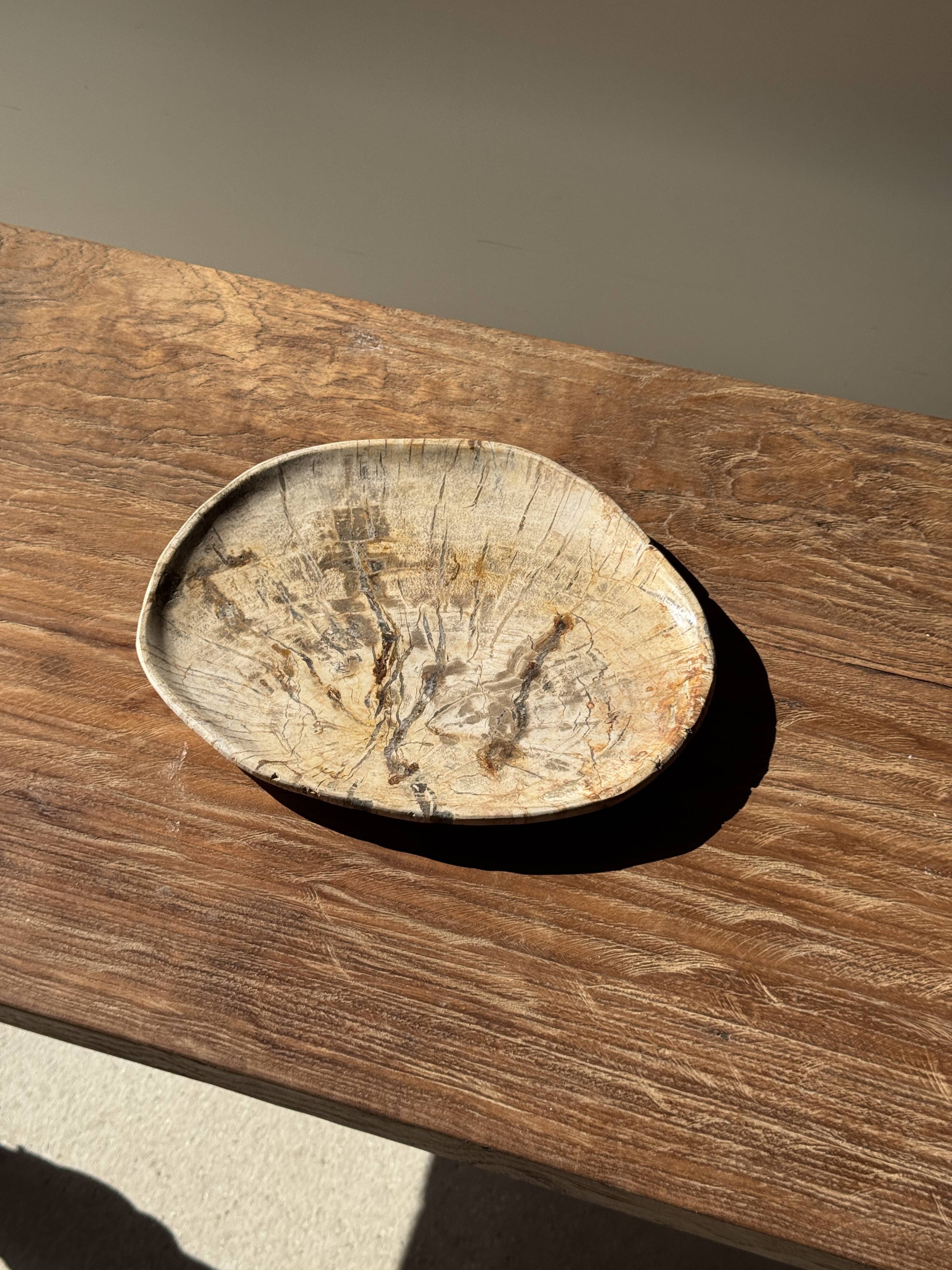 Small beige oval petrified wood dish or tray with crystals.
