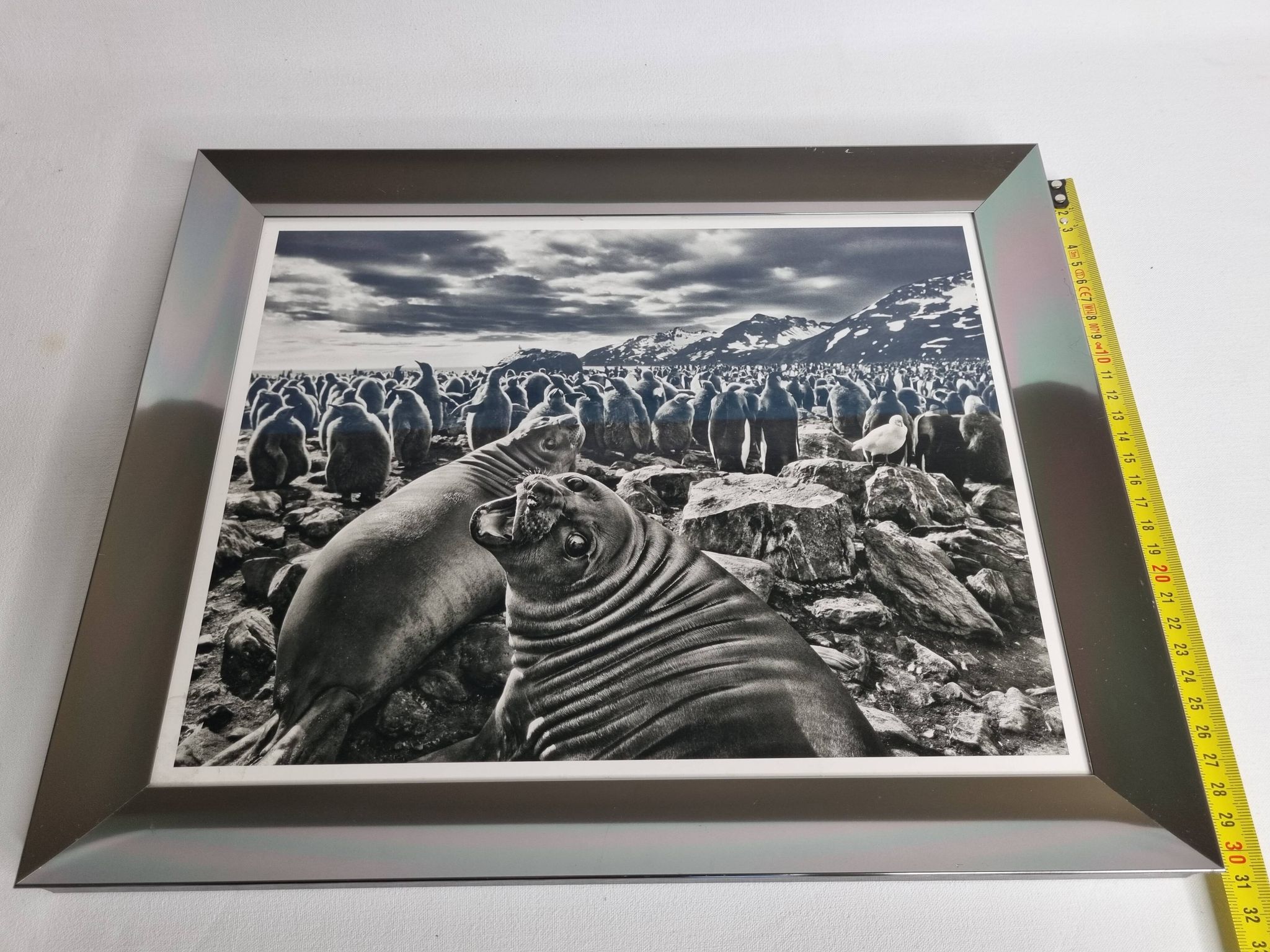 Offset edition in black and white "Genesis" after Sebastião Salgado, framed under glass, 30 x 38 cm