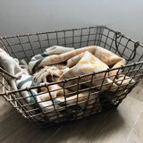 Oyster manna, metal locker