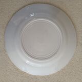 Iron earth plate Montpellier