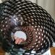 “Armadillo” lampshade, Patricia Urquiola