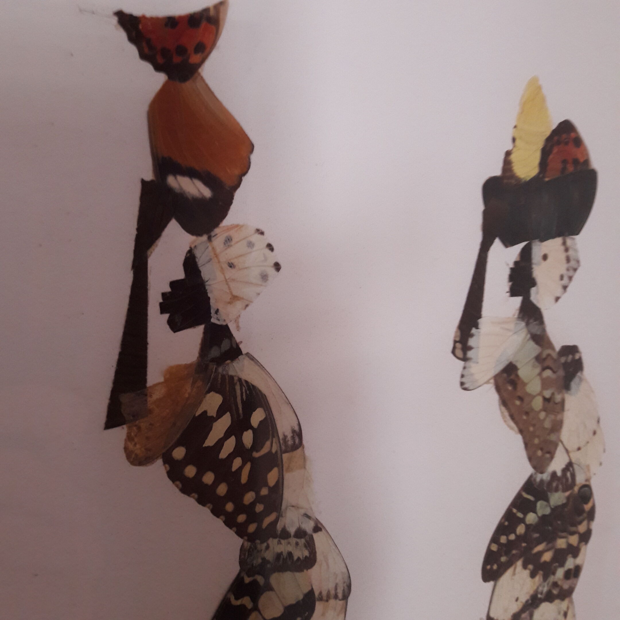 Butterfly wings painting with African women motif