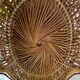 Sculptural mirror in rattan and natural wicker, 1970