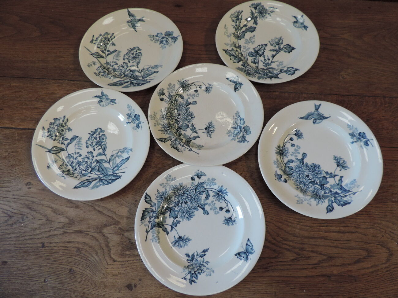 Lot of six plates 19th