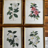 Lot de 4 lithographies par Paul Jones