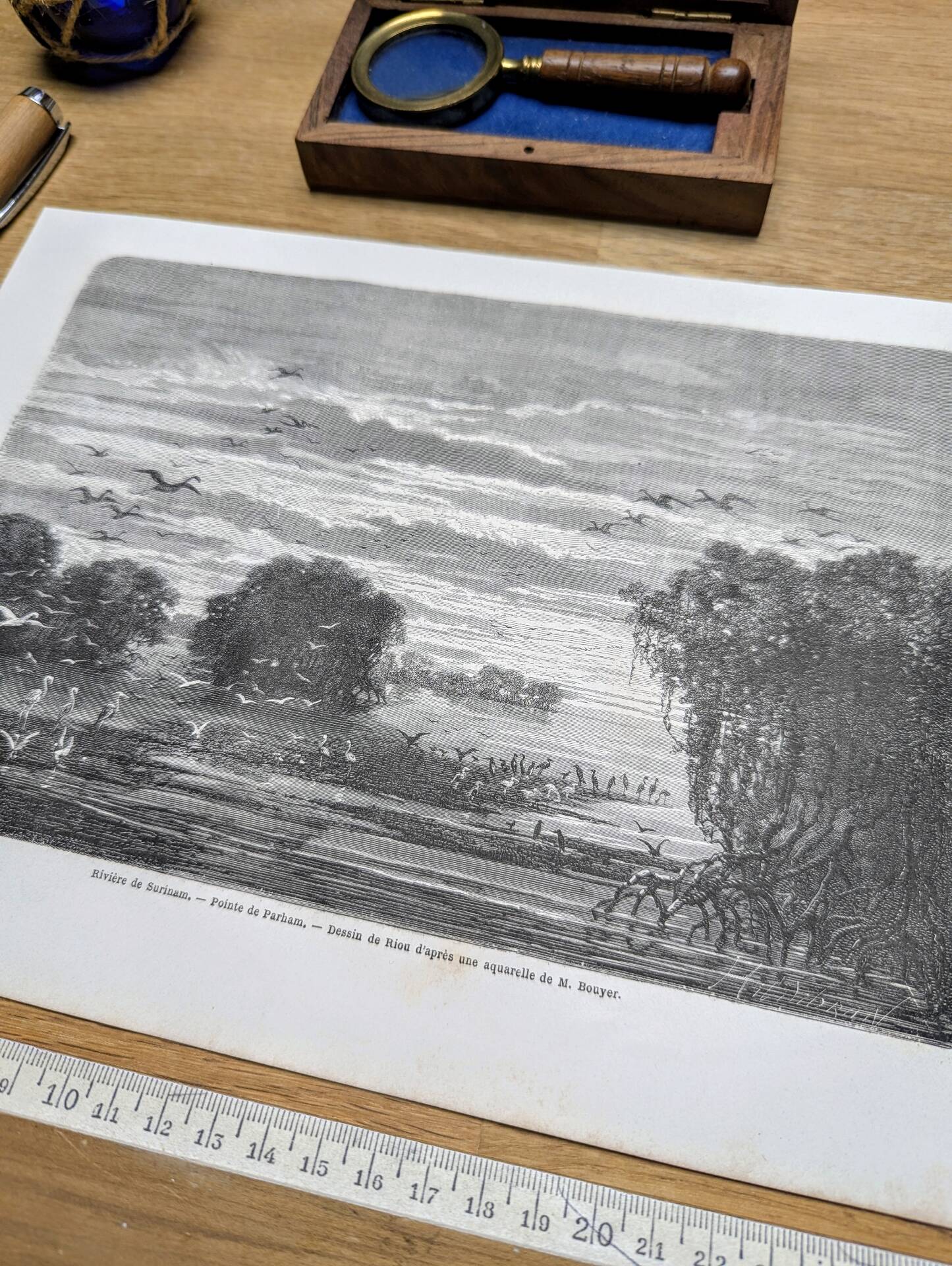 Suriname River, Parham. Printed illustration from 1866.