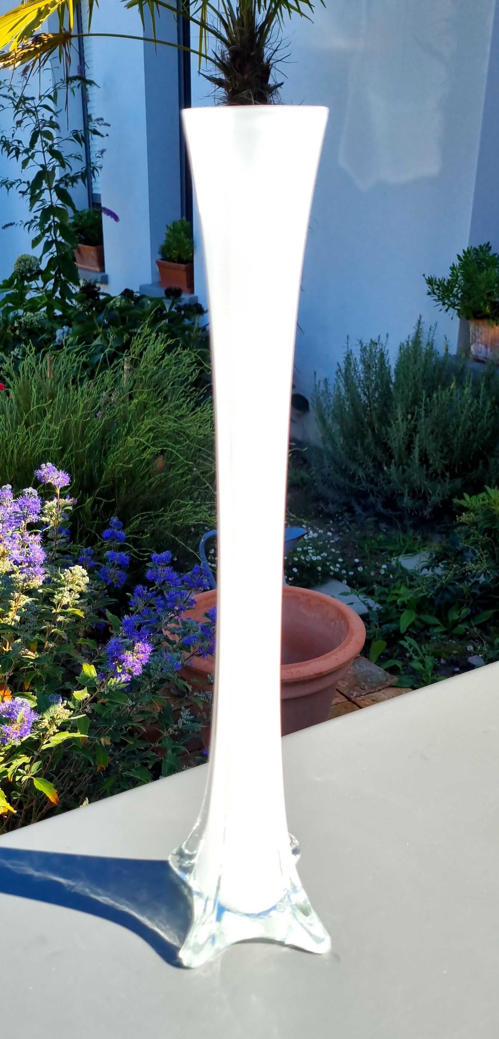 White Soliflora