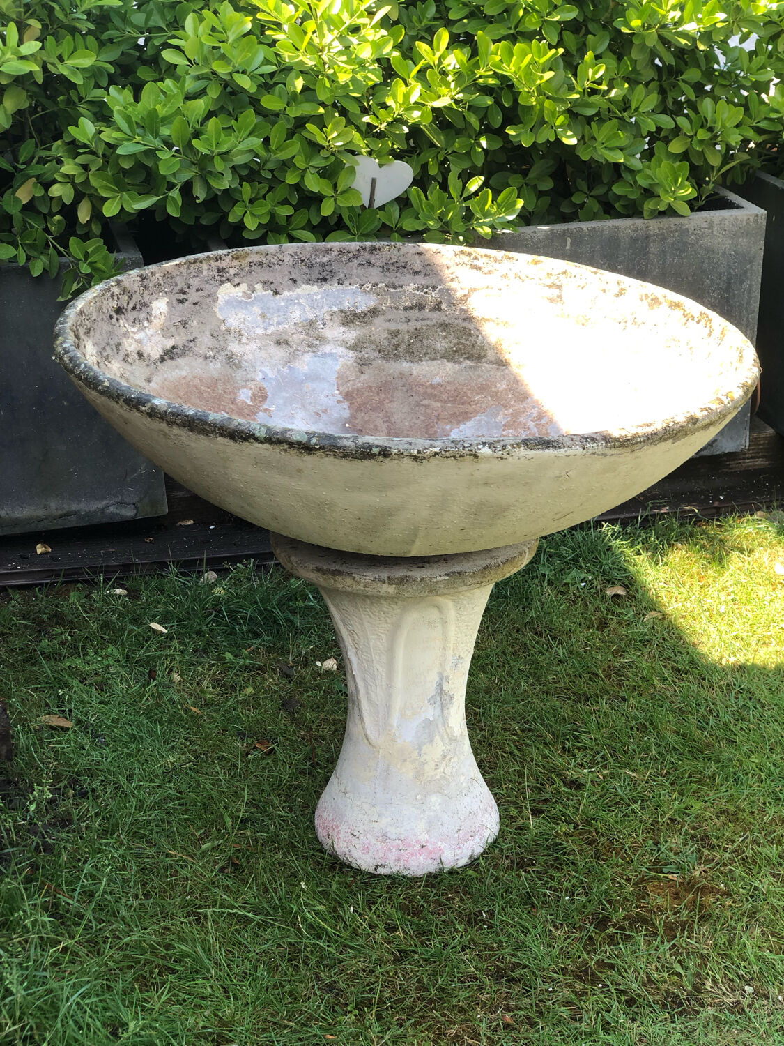 Eternit cement planter basin