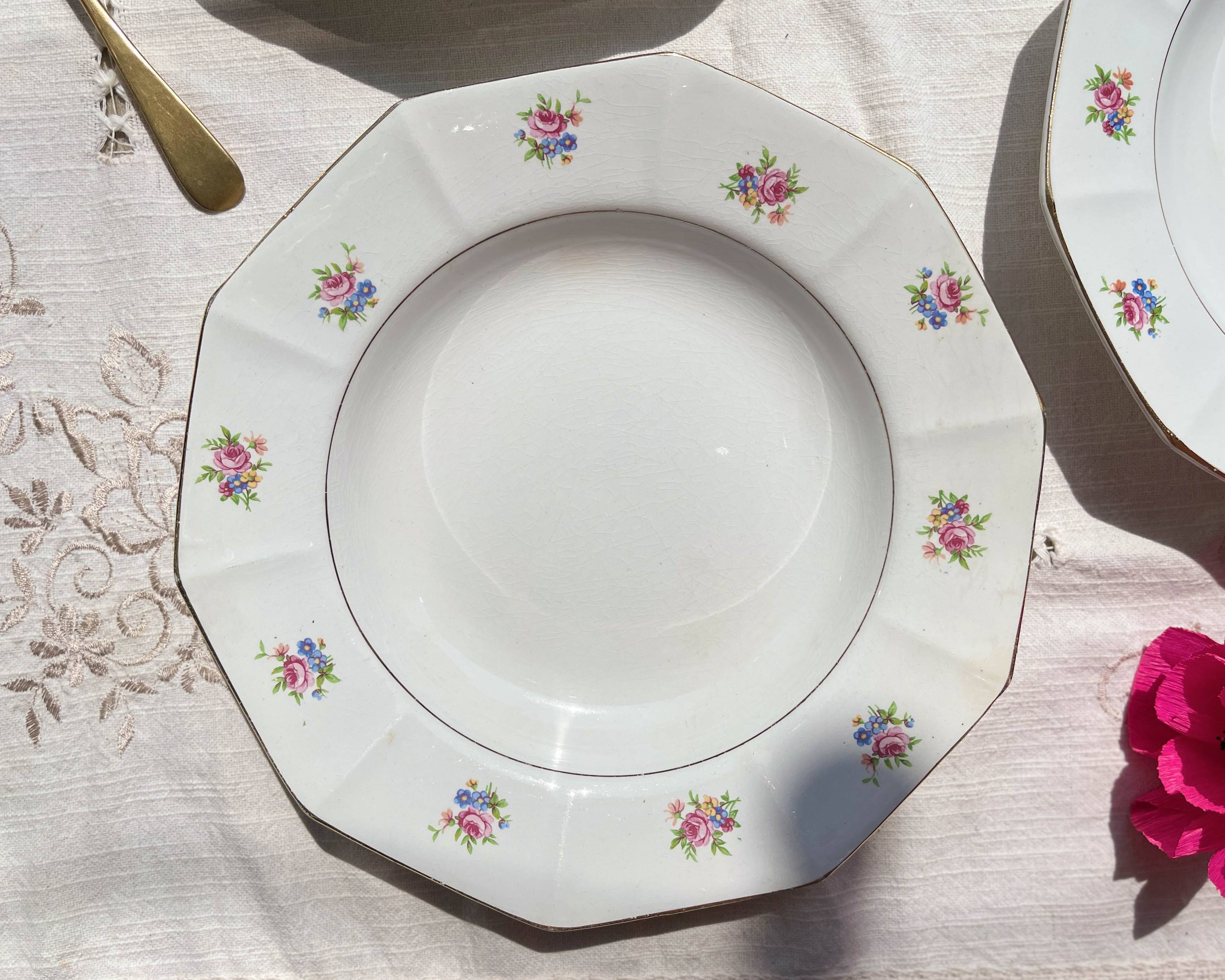 5 vintage hollow plates in opaque porcelain SALINS floral pattern