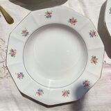 5 vintage hollow plates in opaque porcelain SALINS floral pattern