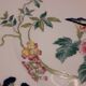 "Paradis" Assiette Royal Limoges France
