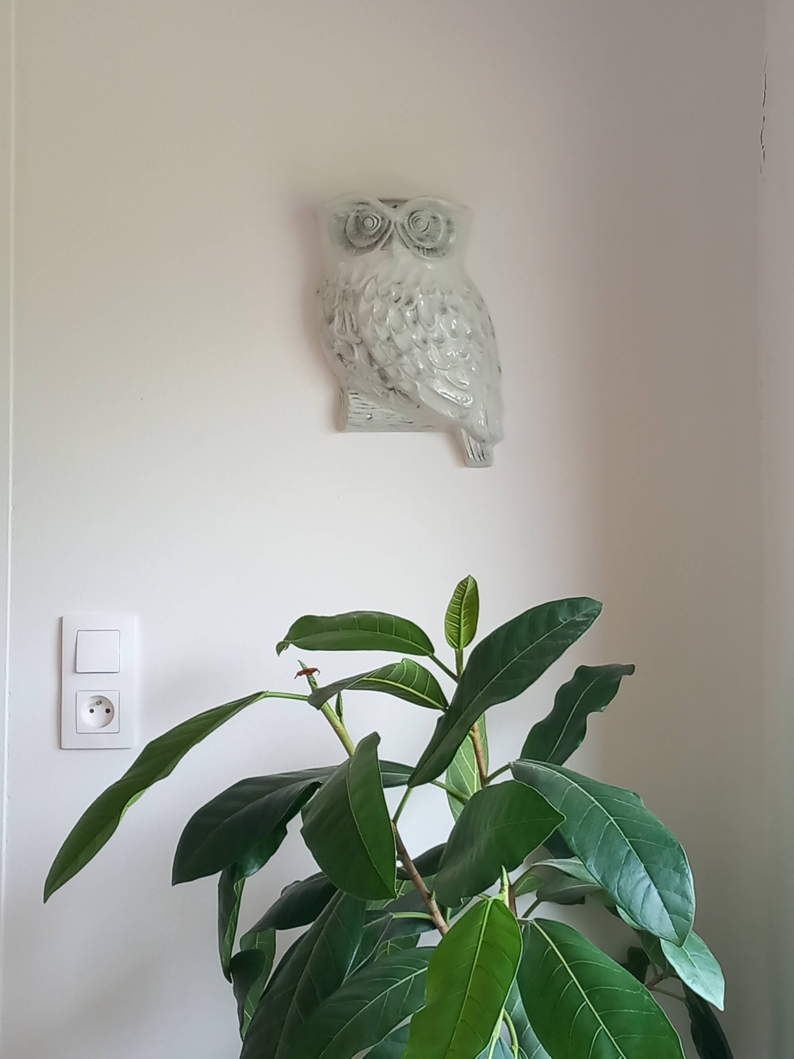 Wall vase "owl" brand What's by Vincent gifts