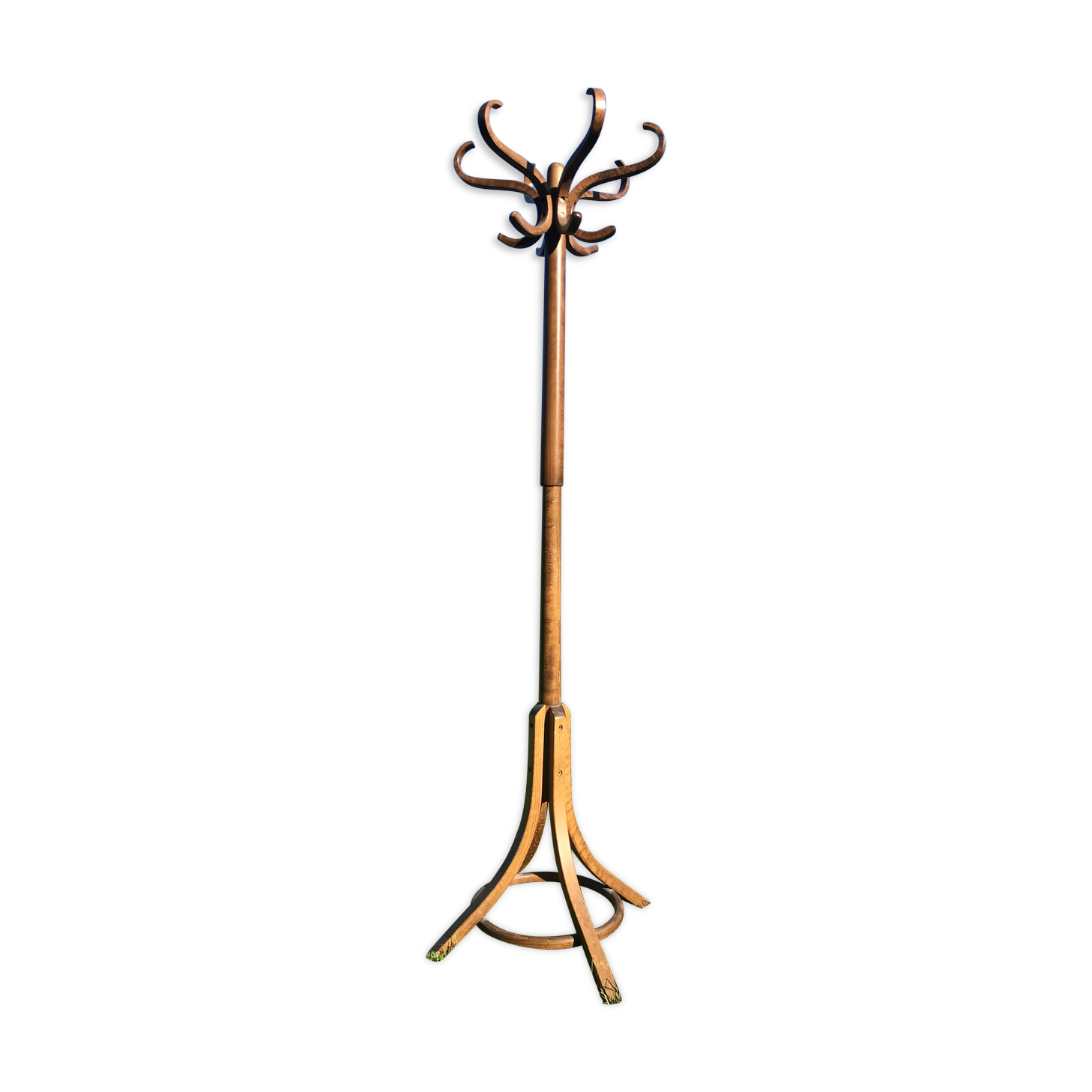 Curved wooden parrot coat door