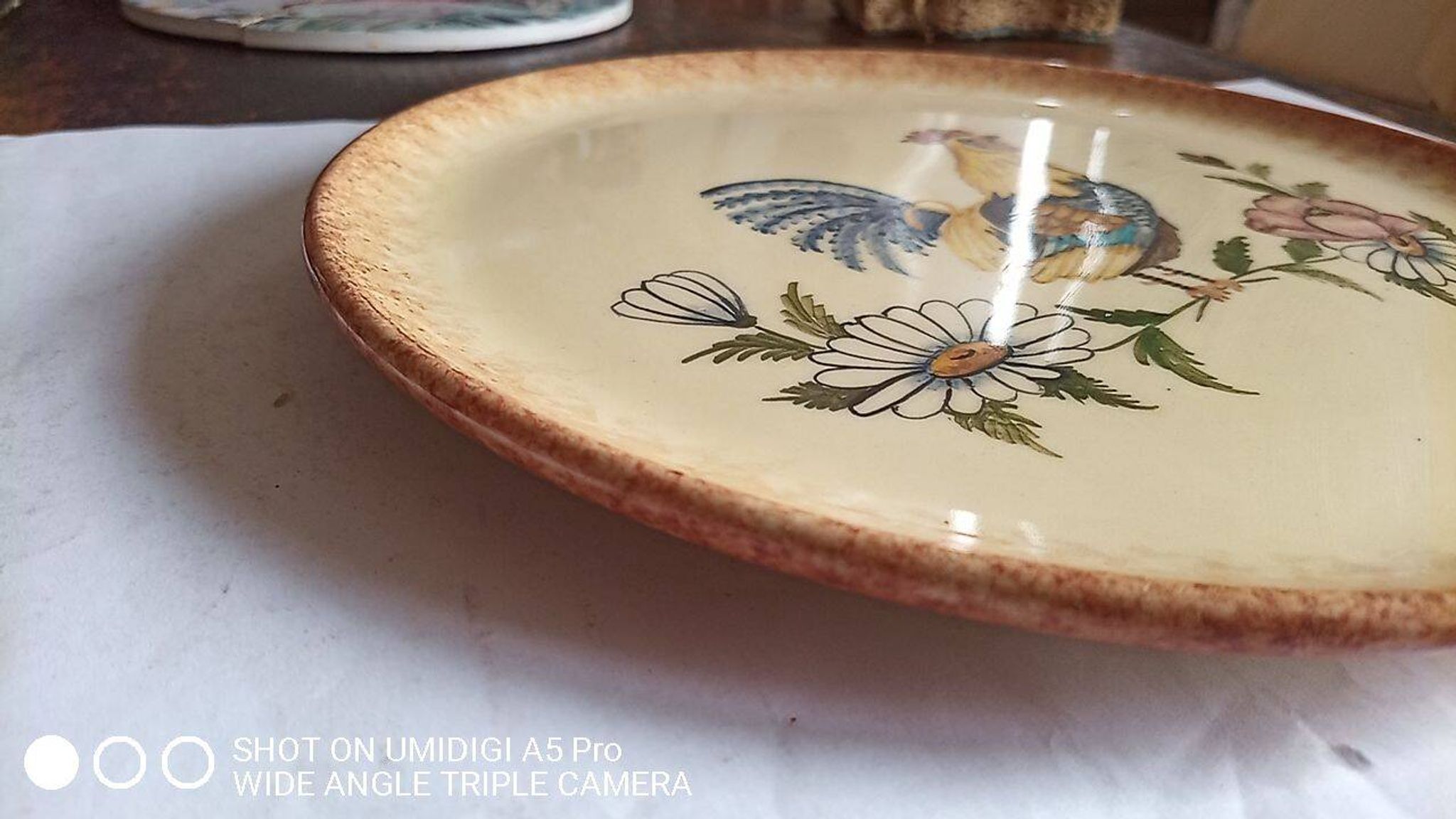 Biot ceramic - plate signed l'aiguiere - L. Gruson - hand painted - 25cm