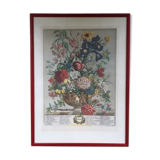 Old English botanical plate for the month of June