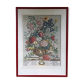 Planche botanique anglaise ancienne mois de juin