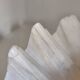 Vintage scallop shell