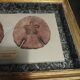 Frame with purple sea urchins Echinodiscus auritus