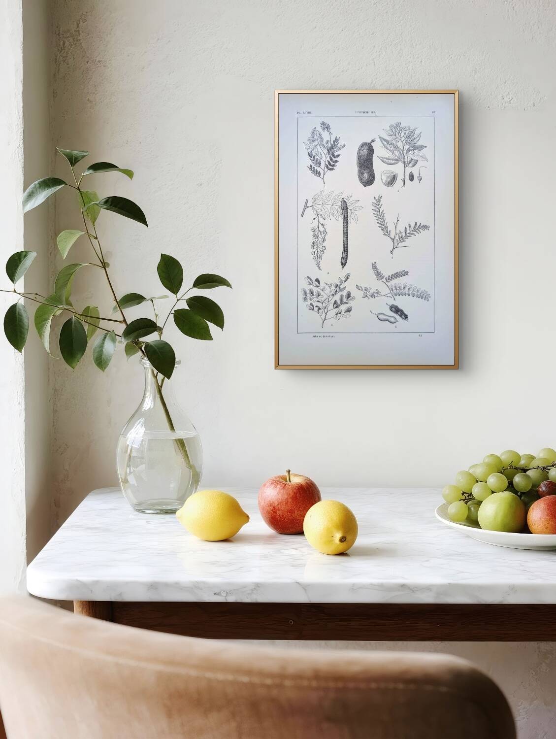 Imprimée en 1889, les légumineuses. Planche botanique ancienne.