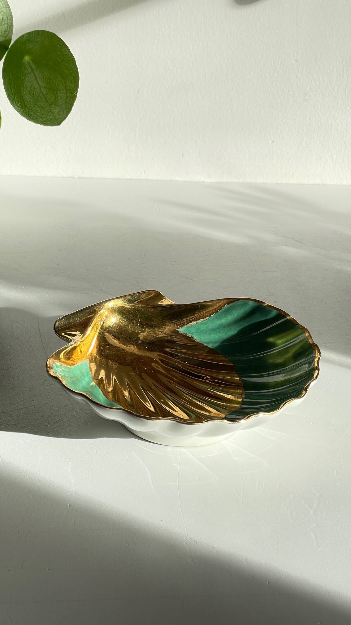 Shell-shaped empty pocket Limoges FRANCE