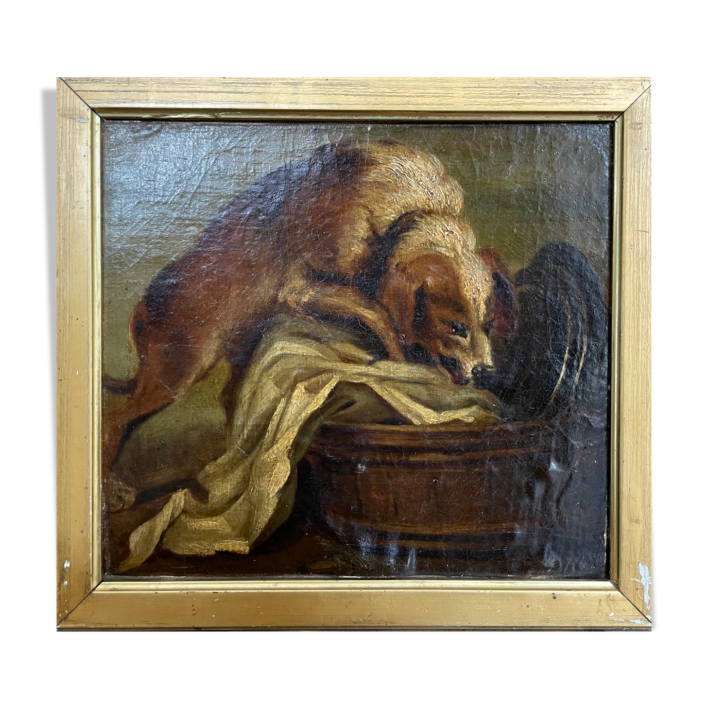 Painting old animal painting, dog Greuze, eighteenth