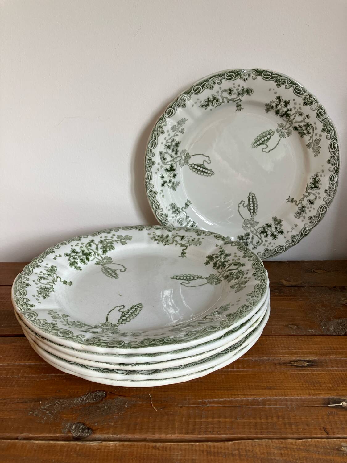 6 iron earth plates