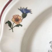Assiettes creuses Agrest Sarreguemines