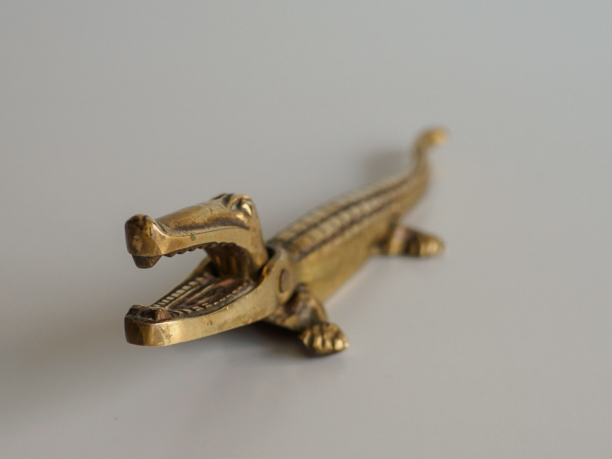Brass Crocodile