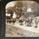 Old photography stereo, stereograph, luxury albumine 1903 camel line, Beijing, China