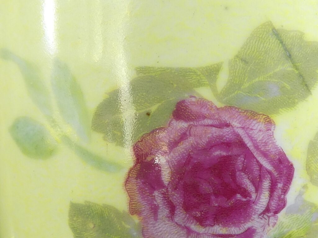 Pair of Limoges porcelain vases decorated with rose bushes