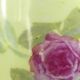Pair of Limoges porcelain vases decorated with rose bushes