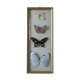 Naturalized butterflies