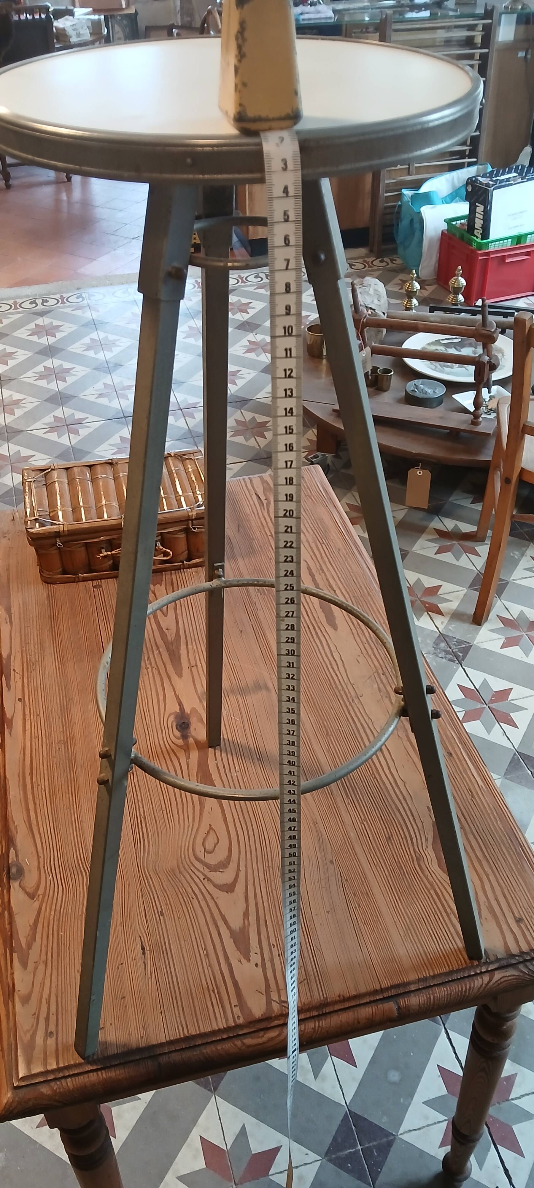 Plant holder or stele