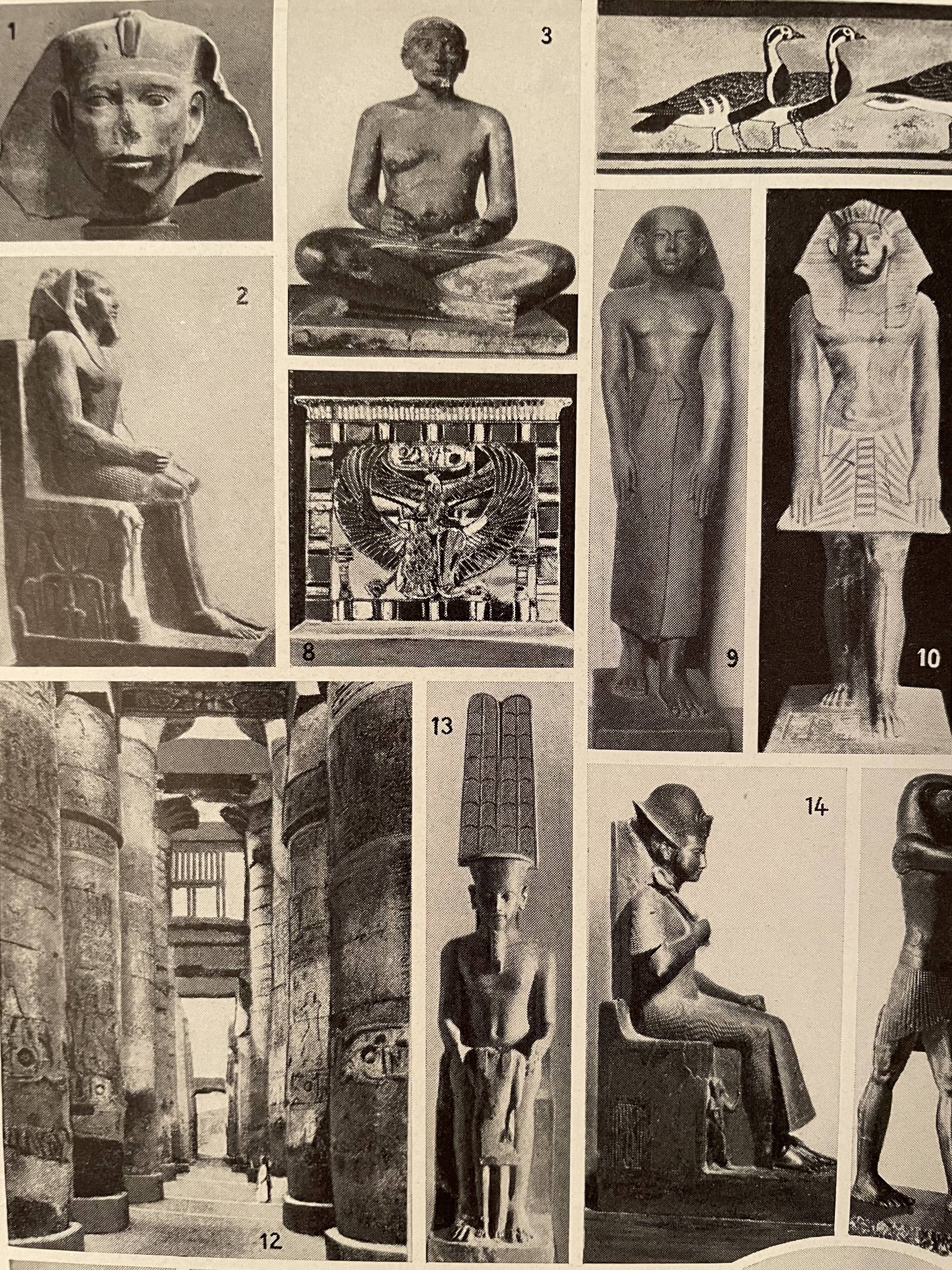 Photographic plate on Egypt from 1928