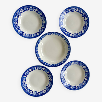 St Amandinoise earthenware plates and dishes St Amand France.