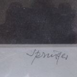 original engraving "lunar plant" Springer