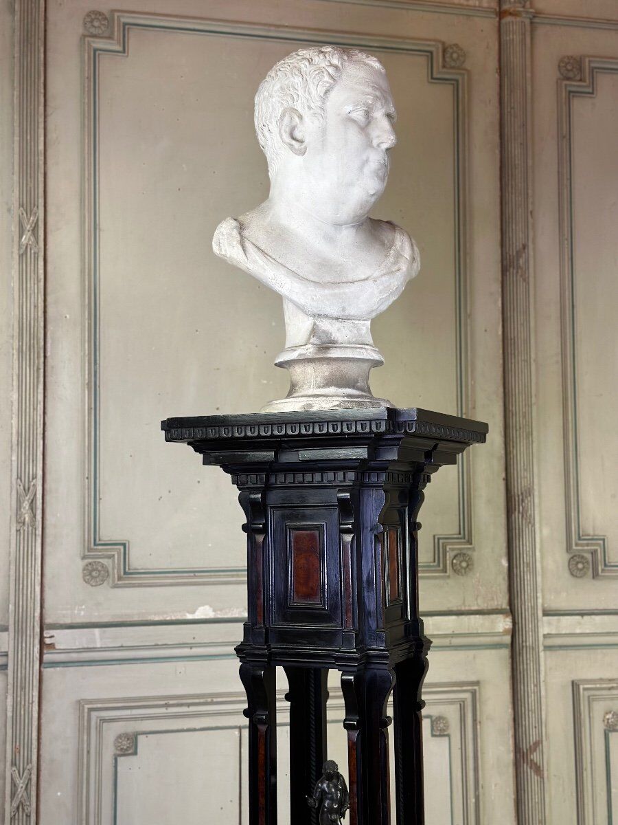 A pedestal table in blackened wood and burl veneer, superb assembly of moldings circa 1880